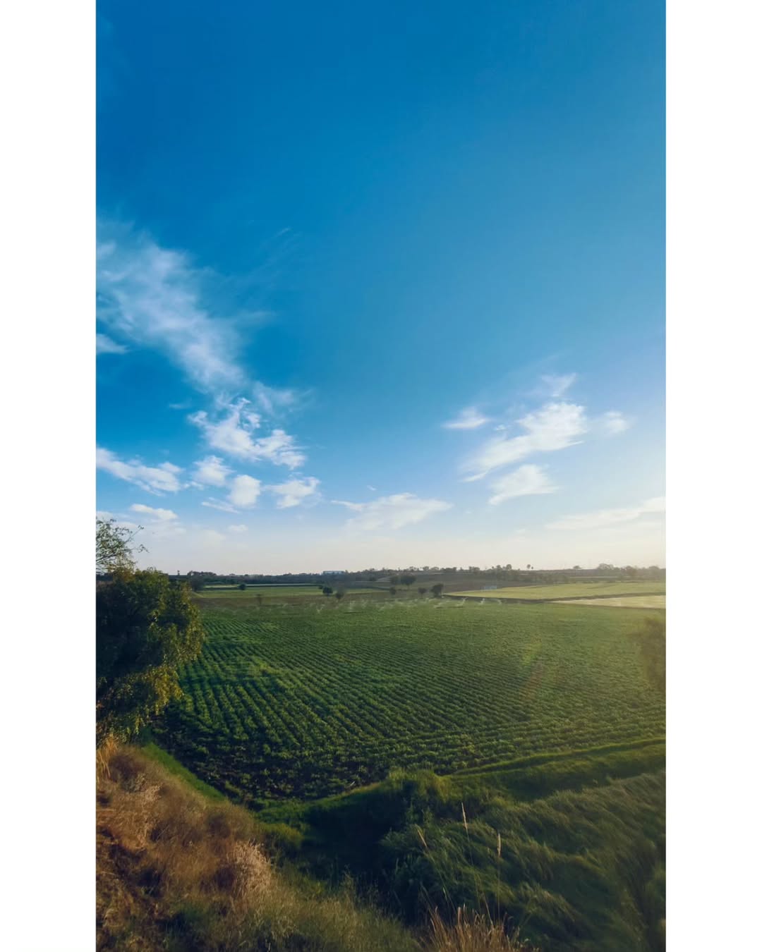 PK Krushi Farm House main view
