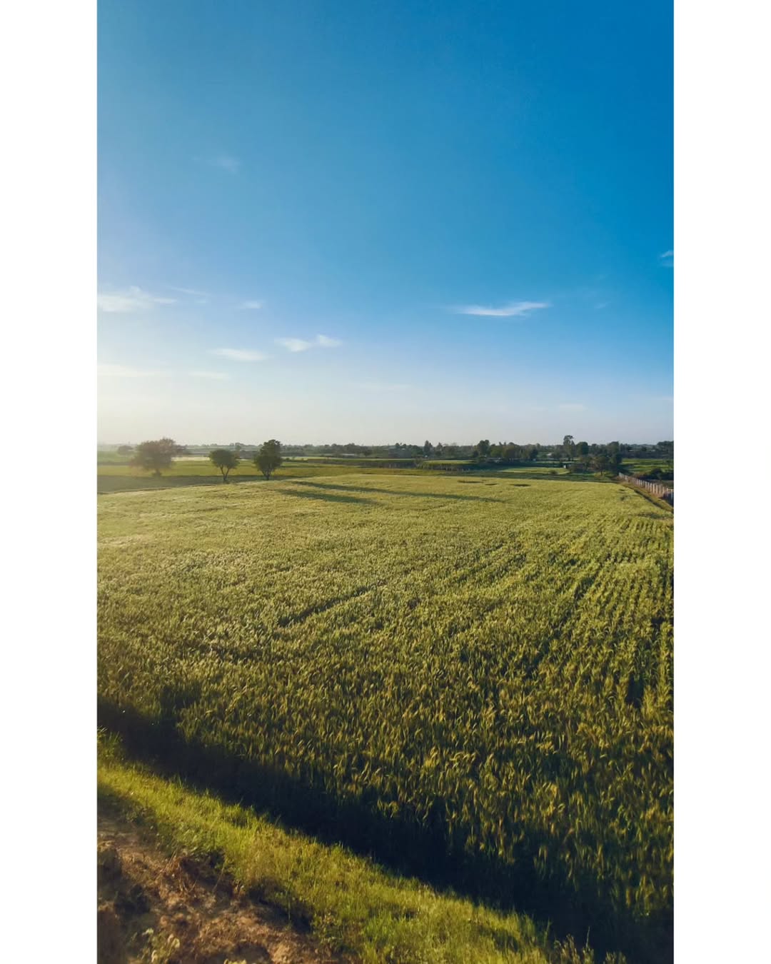 Farm House View